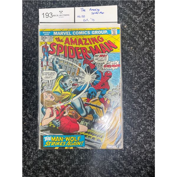 THE AMAZING SPIDER-MAN NO.12 Comic