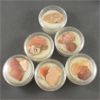 Image 3 : Lot of Raw Mexican Fire Opal 
