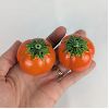 Image 2 : Set of 12 Veggie Kitchen Ceramics
