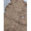 Image 3 : Full Cow Hide Approximately 54" x 54"