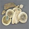Image 1 : Lot of Antler / Horn Plates 