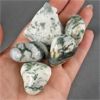 Image 1 : Lot of Raw & Polished Tree Agate