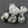 Image 2 : Lot of Raw & Polished Tree Agate