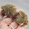 Image 2 : Set of 2 Manitoba Floodway Rose Crystals