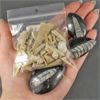 Image 1 : Lot of Sand Shark Teeth & Orthoceras Fossils 