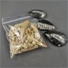 Image 2 : Lot of Sand Shark Teeth & Orthoceras Fossils 