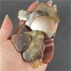Image 2 : Mix Lot of Stone Slices