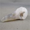 Image 2 : Crystal Raven Skull - Agatized Quartz