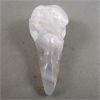 Image 3 : Crystal Raven Skull - Agatized Quartz