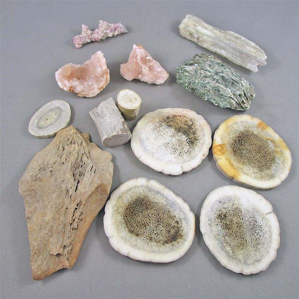 Lot of Crystals, Antler & Horn Plates - Pink Amethyst, Pink and White Tourmaline & Fuchsite