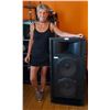 Image 3 : AL's Audio Very Large Speaker Brand Unknown J215 J2Z 01 (Heavy)