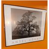 Image 1 : Ansel Adams Picture in Frame  30 Wide x 24 High