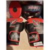 Image 1 : Boxing Mask, Gloves and Sparring Pad (Pad has a rip in Seam)