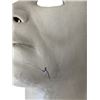 Image 7 : Halloween Resurrection Shape Mask Movie Props