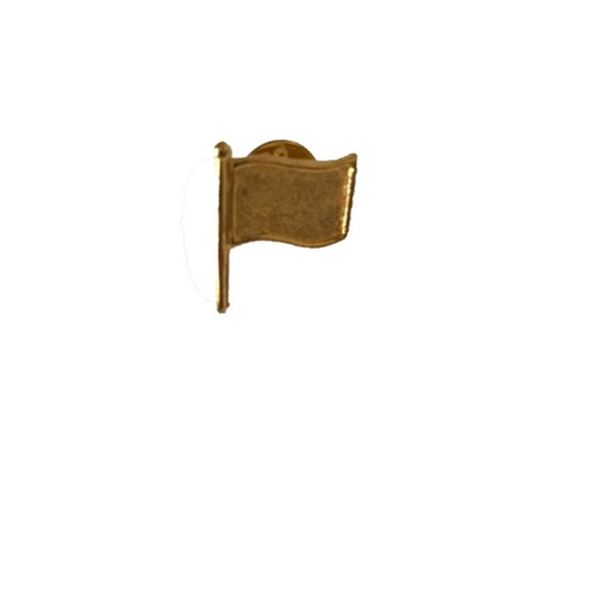 Air Force One (1997) - Gold Flag Lapel Pin Movie Props