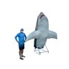 Image 2 : Requin Screen Used Mechanical Shark Movie Props