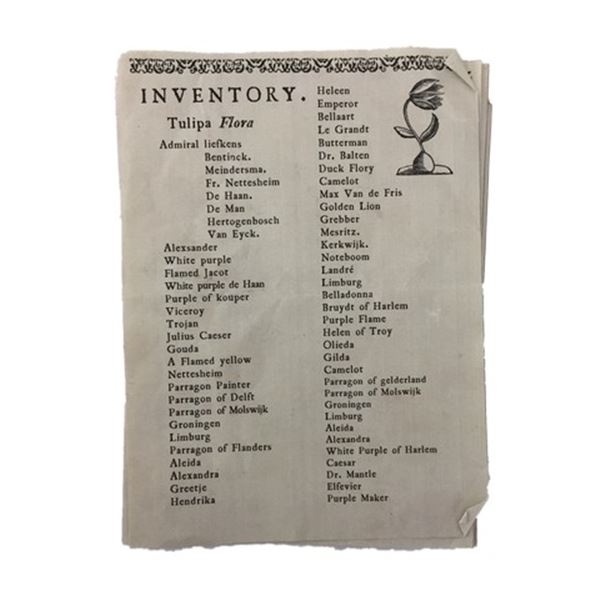 Tulip Fever Inventory of Tulips Movie Props