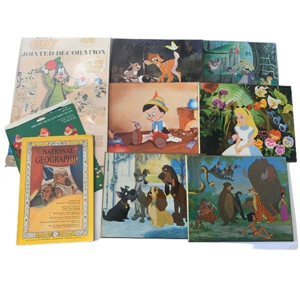 Vintage Disney Collection of Photo Plaques and More