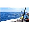 Image 6 : Los Cabos Sport Fishing for 2 - all inclusive