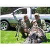 Image 4 : 3-Day 2-Person Nebraska Turkey Hunt with Ronnie "Cuz" Strickland