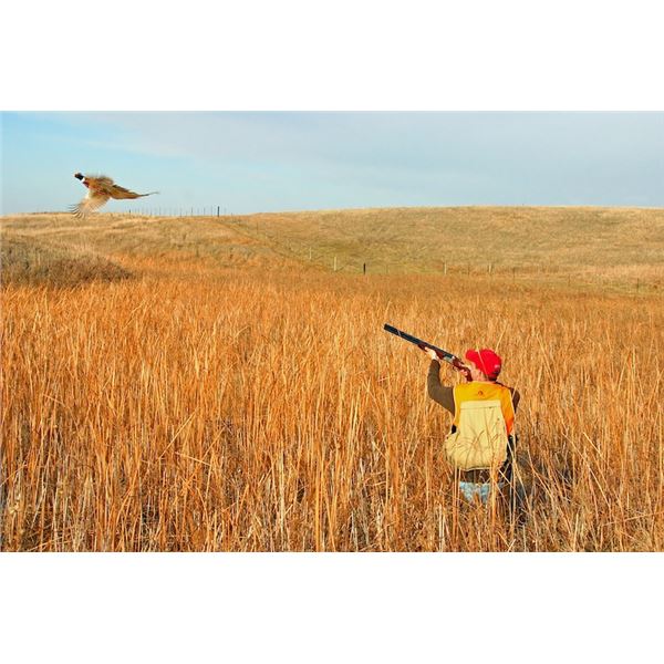 2-Day South Dakota Pheasant Hunt for 2