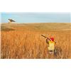 Image 1 : 2-Day South Dakota Pheasant Hunt for 2