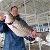 Image 2 : 1-Day Oklahoma Striper Bass Fishing for 6