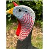 Image 4 : Tom Boozer Custom Wooden Decoy