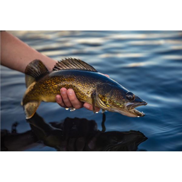 2-Day Wisconsin Walleye Fishing for 2
