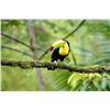 Image 5 : Costa Rica for 2 - all inclusive