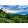 Image 6 : Costa Rica for 2 - all inclusive