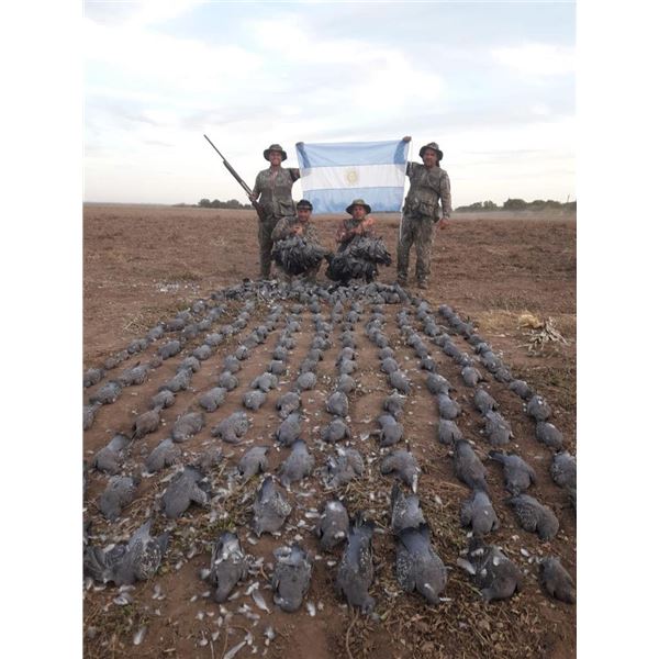 Argentina Dove Hunt for 5