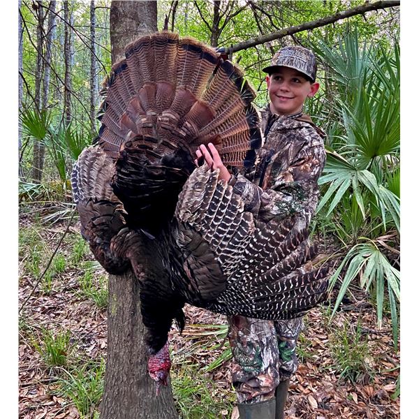 2.5 Day Florida Osceola Hunt for 1