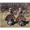 Image 1 : 3 Day Wisconsin Turkey Hunt for 2