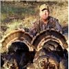 Image 2 : 3-Day New Mexico Merriam's Hunt for 1 Plus Youth Hunter