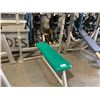 Image 2 : SHES FIT GREY/GREEN COMMERCIAL FREE WEIGHT BENCH PRESS