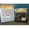 Image 1 : Lot of 1 TS PG-3 Micro Guitar Amplifier