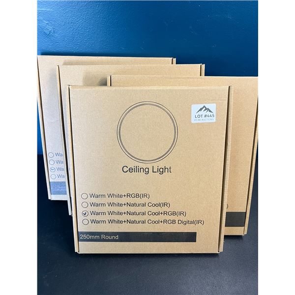 Lot of 4 Multi Colour Round Ceiling Lights 250mm - Includes Remote!