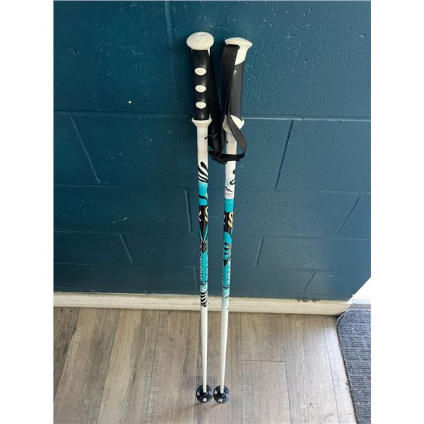 Lot of 1 Pair of Ski Poles