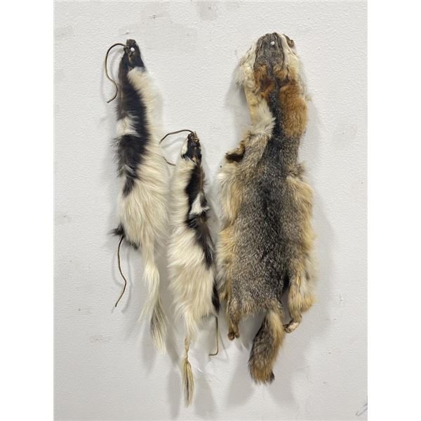 Kit Fox and Skunk Pelts