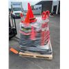 Image 2 : Pallet of Industrial cones