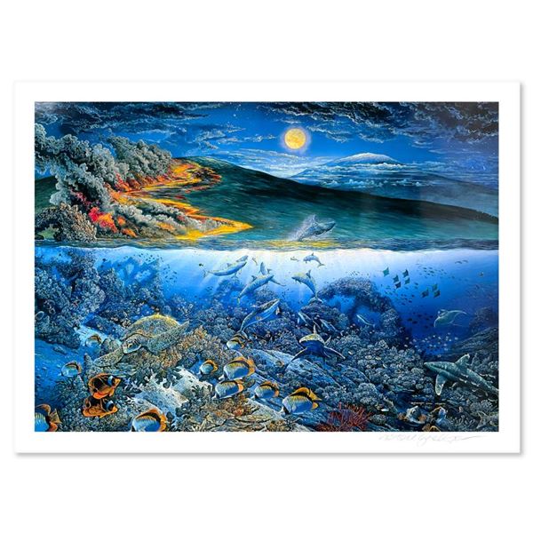 Wonders of Mahealani by Nelson, Robert Lyn