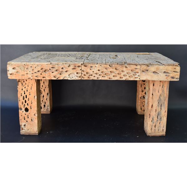 SEGUARO CACTUS COFFE TABLE