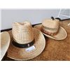 Image 1 : Straw Hats