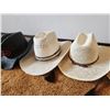 Image 2 : Straw Hats
