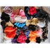 Image 1 : Hair Accessories