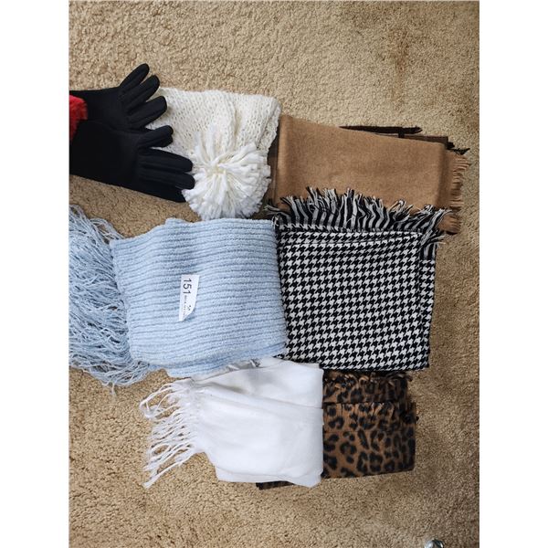 Scarves and Winter Accessories