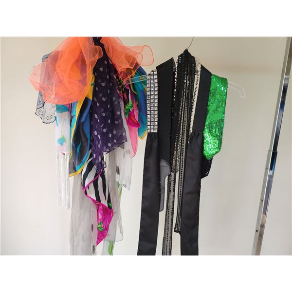 Scarves and Belts Collection