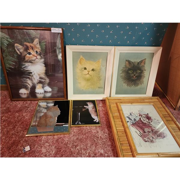 Framed Prints - Kitty Cat Collection