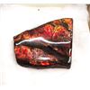 Image 2 : RED FIRE 185 CT NATURAL AMMOLITE  SPECIMEN